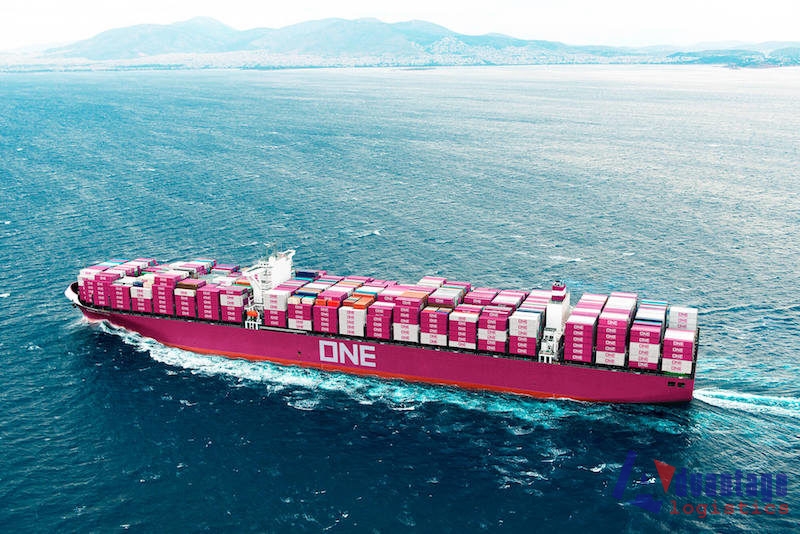 Giới thiệu 10 hãng tàu lớn nhất trên thế giới hiện tại - Mekong Logistics