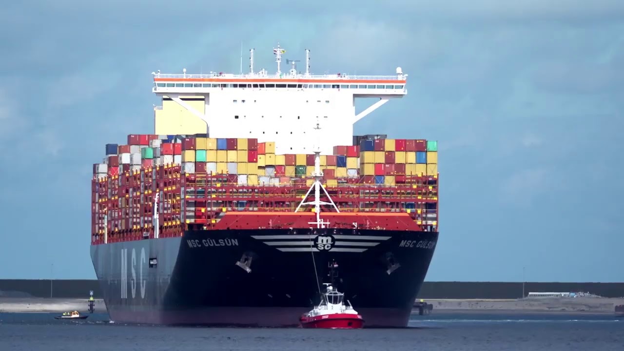 Tàu container lớn nhất thế giới MSC Gülsün vừa cập cảng APMT 2 thuộc cảng  Rotterdam. - YouTube